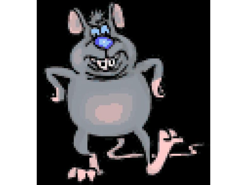 kep