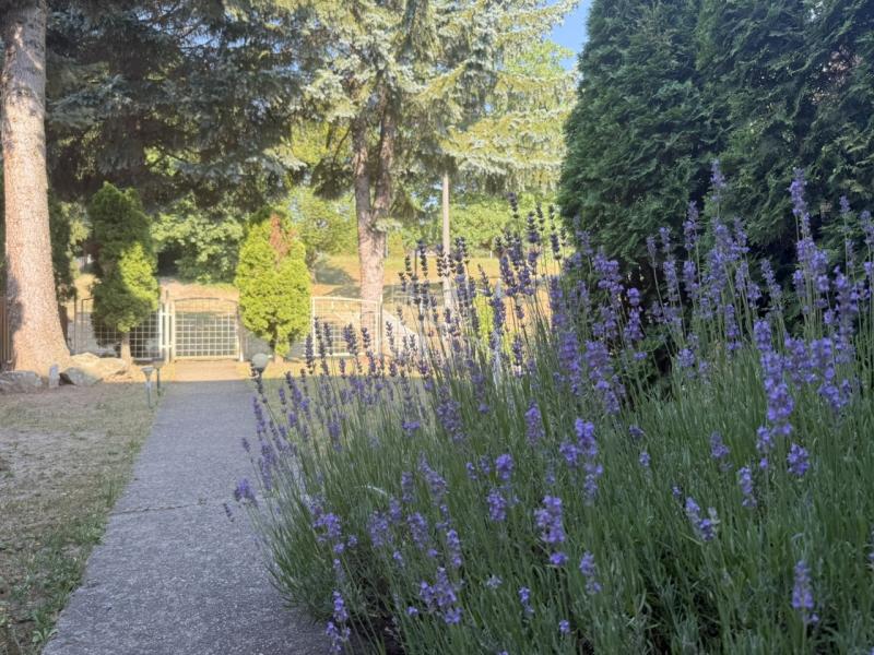 kep