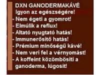 kep