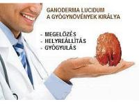 kep